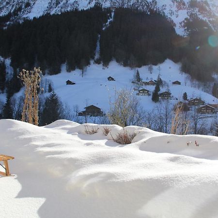 Chalet Pfingsteggblick Grindelwald Dış mekan fotoğraf