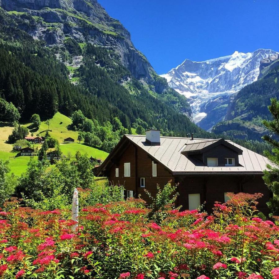 Chalet Pfingsteggblick Grindelwald Dış mekan fotoğraf