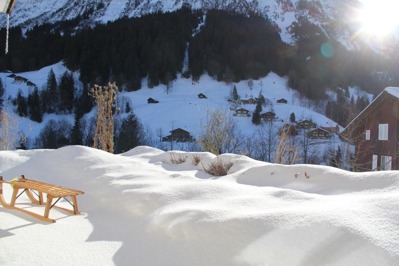 Chalet Pfingsteggblick Grindelwald Dış mekan fotoğraf