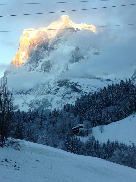 Chalet Pfingsteggblick Grindelwald Dış mekan fotoğraf